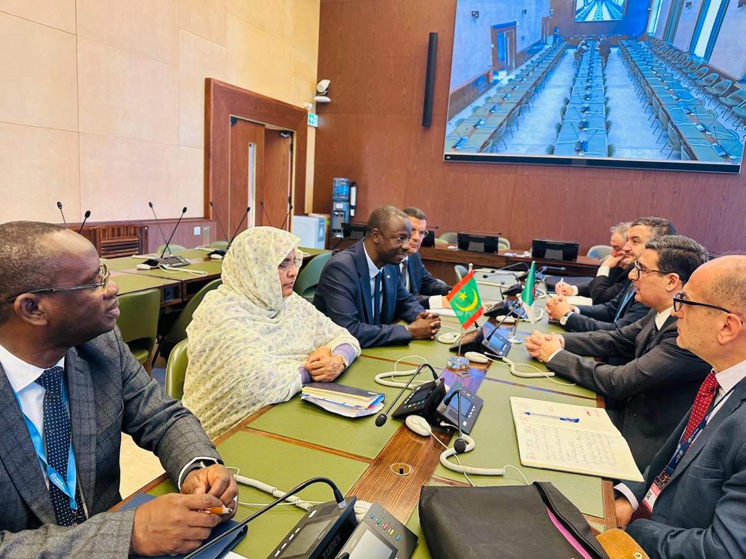 وزير الصحة يلتقي بعثة من شركة فايزر لبحث التعاون في الأدوية واللقاحات